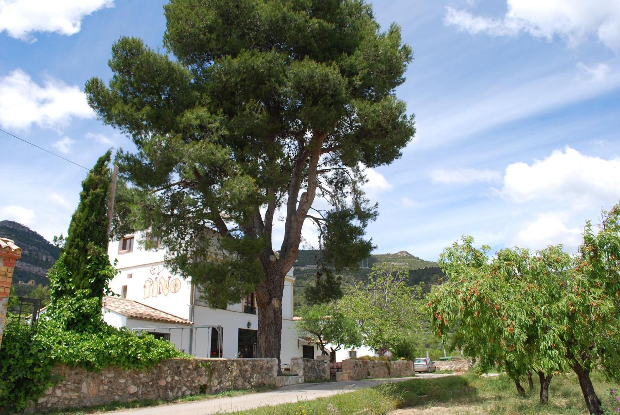 Сasa de vacaciones El Pino B & B, Chera